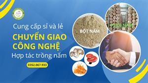 Cơ sở nấm bào ngư Thanh Nhàn